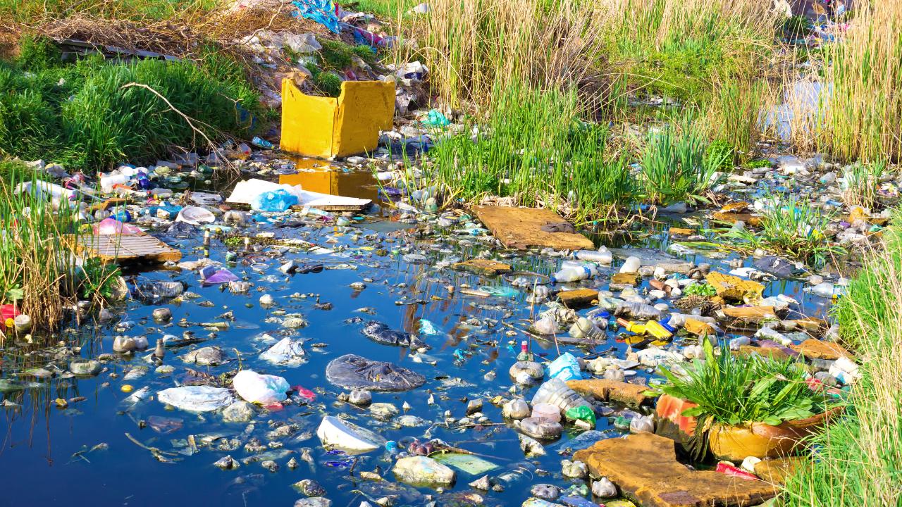 Môi trường ô nhiễm